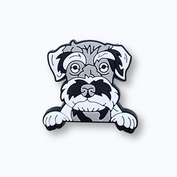 Schnauzer Charm