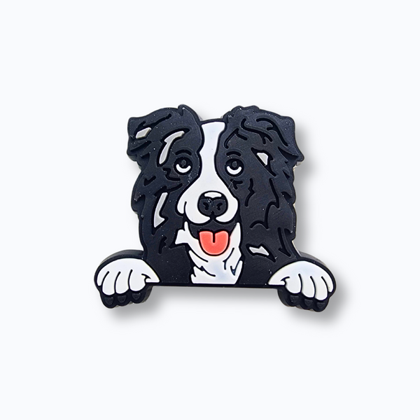 Border Collie Charm